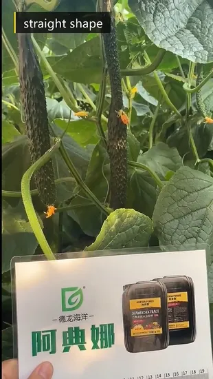 Agriculture Liquid Fish Liquid Organic Seaweed Biostimulant Fertilizer