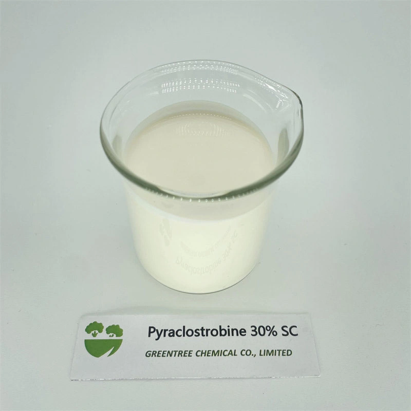 CAS No. 175013-18-0 Fungicide & Bactericide Pyraclostrobine 30% Sc for Sale