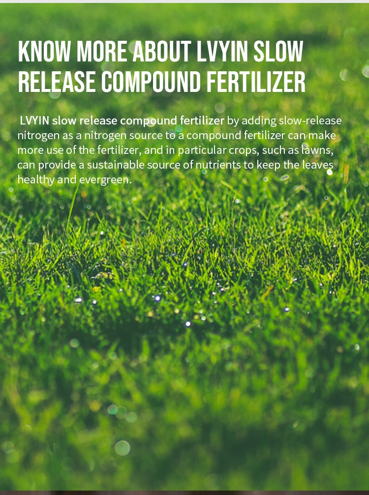 Lvyin Organic Turf Fertilizer Balance NPK 19-8-19 Humate Carbon Slow Release Fertilizer