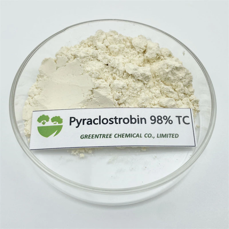 Fungicide & Bactericide Pyraclostrobine 98tc for Sale