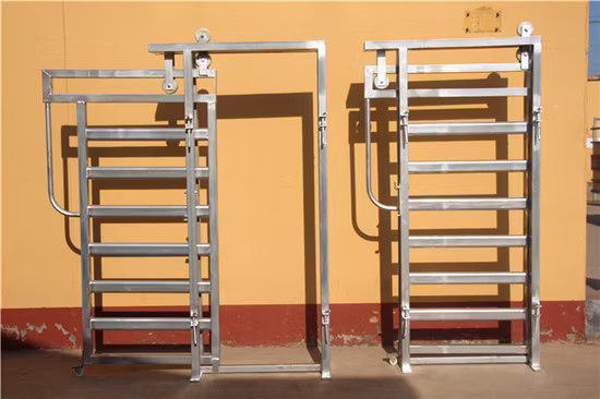 Care Garden Lawn Aireador Zapatos con pinchos Aireación del suelo del césped Cuidado del jardín con 26 pinchos Wyz18830